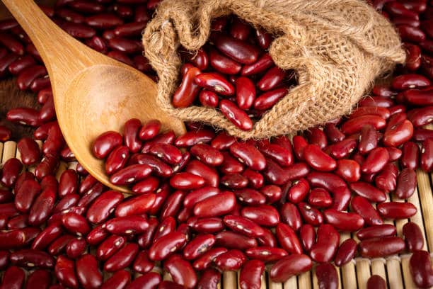 لوبیا قرمز جگری با طعم اصیل و اندازه استاندارد